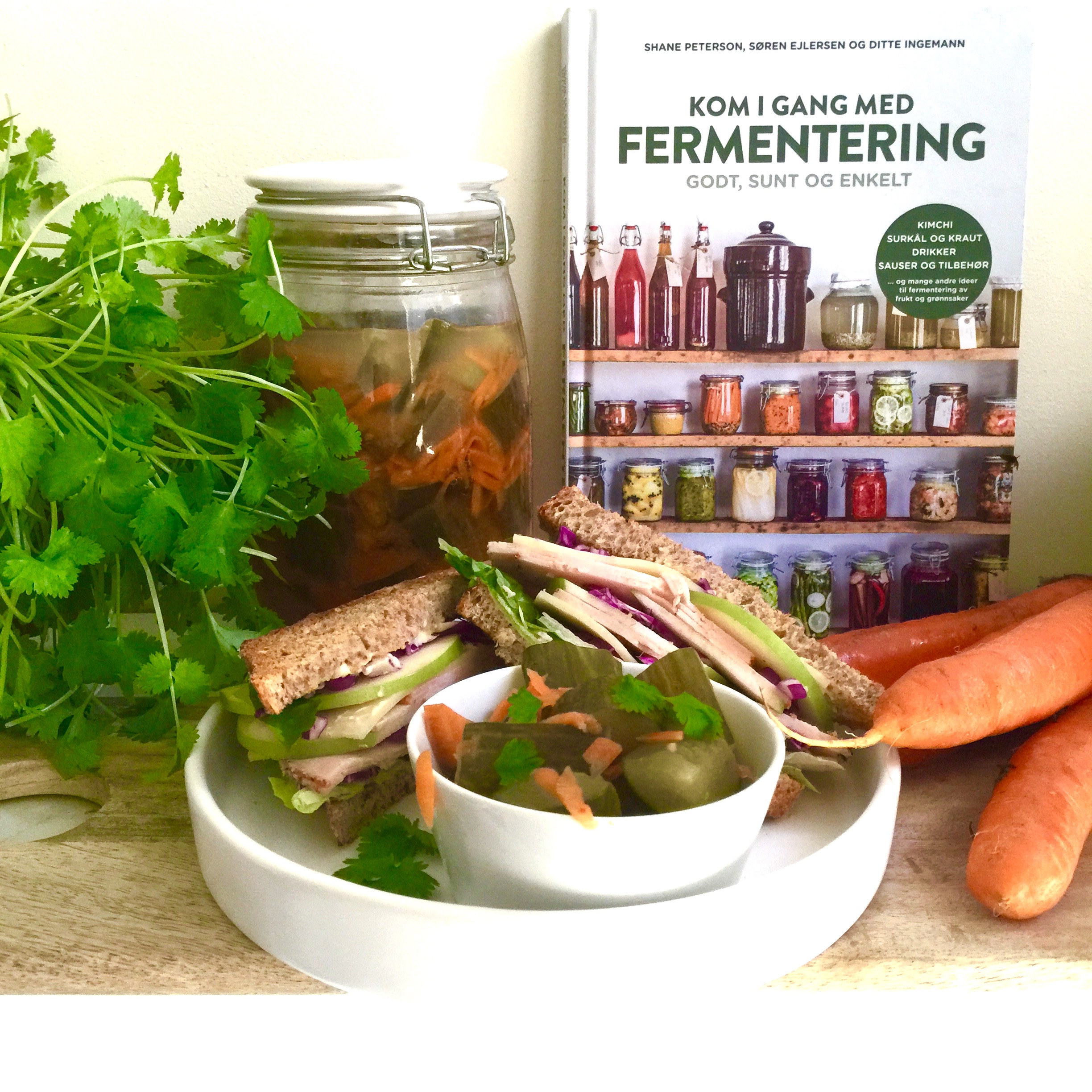 Saltlake til fermentering Saltlake til fermentering